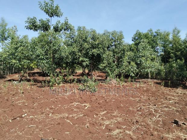 1.5 Acres on Sale at Sabasaba - thumbnail 4