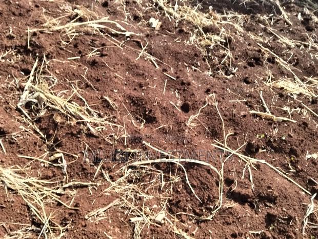 1.5 Acres on Sale at Sabasaba - thumbnail 5