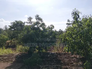1.5 Acres on Sale at Sabasaba
