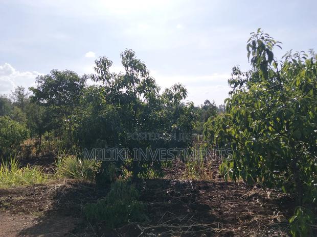 1.5 Acres on Sale at Sabasaba - thumbnail 6