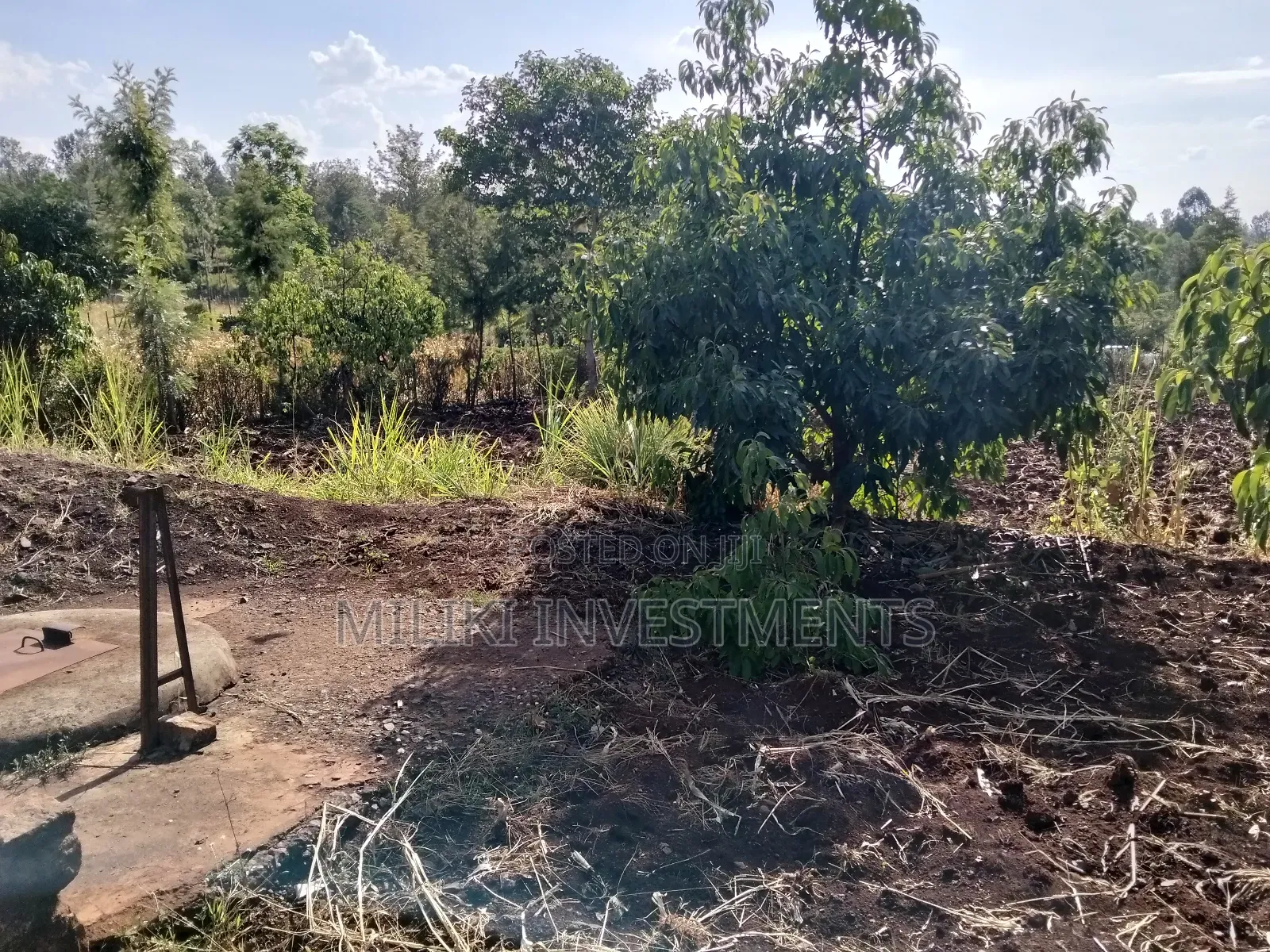 1.5 Acres on Sale at Sabasaba