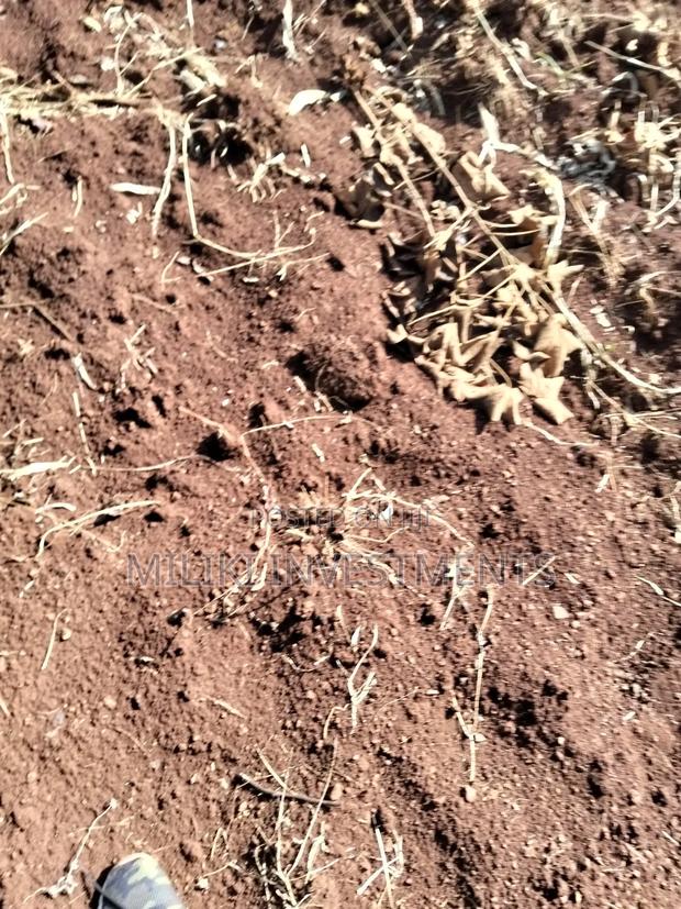 1.5 Acres on Sale at Sabasaba - thumbnail 10