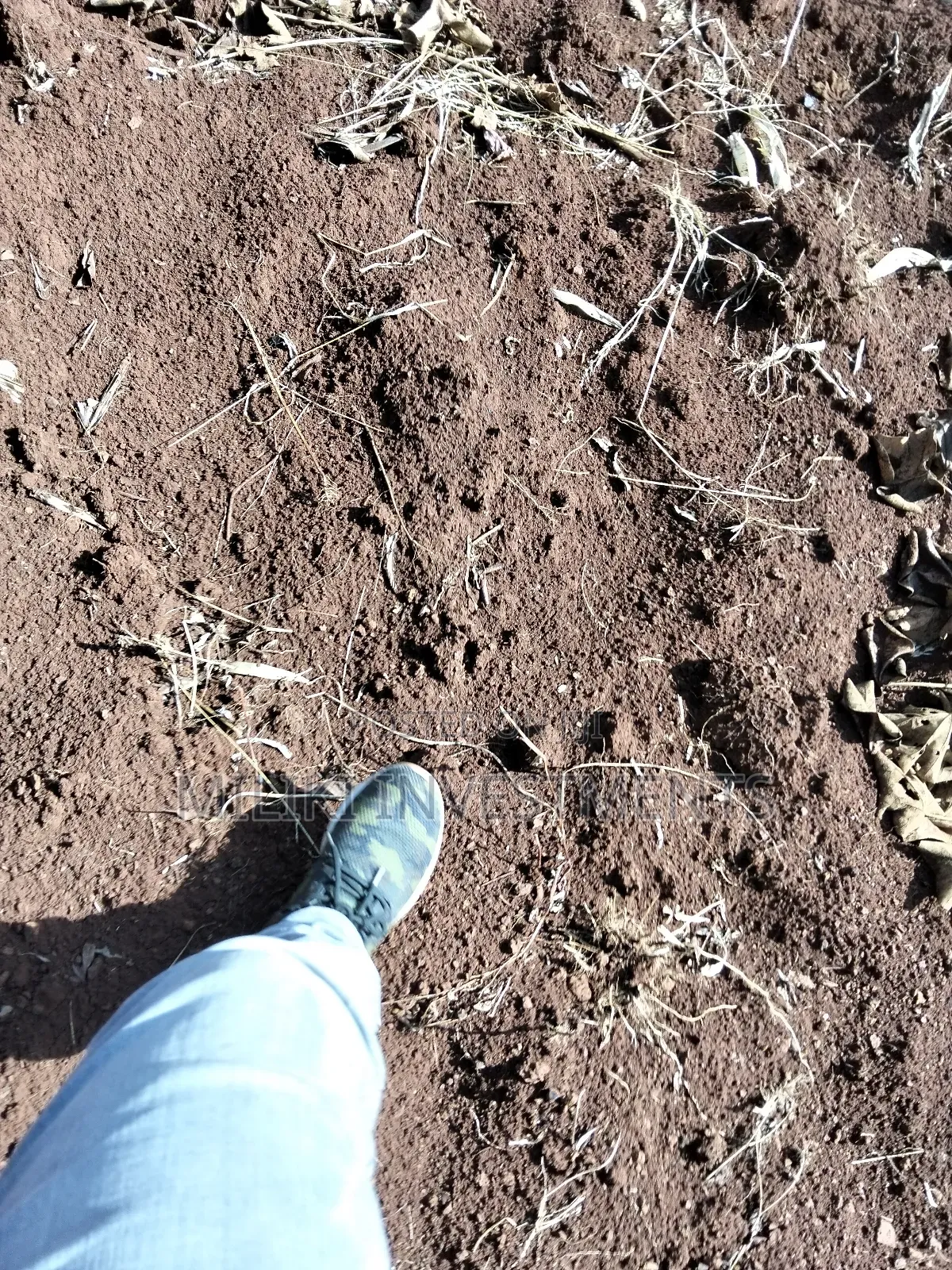 1.5 Acres on Sale at Sabasaba