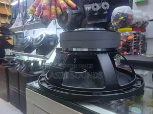 Professional Raw Loudspeaker Driver