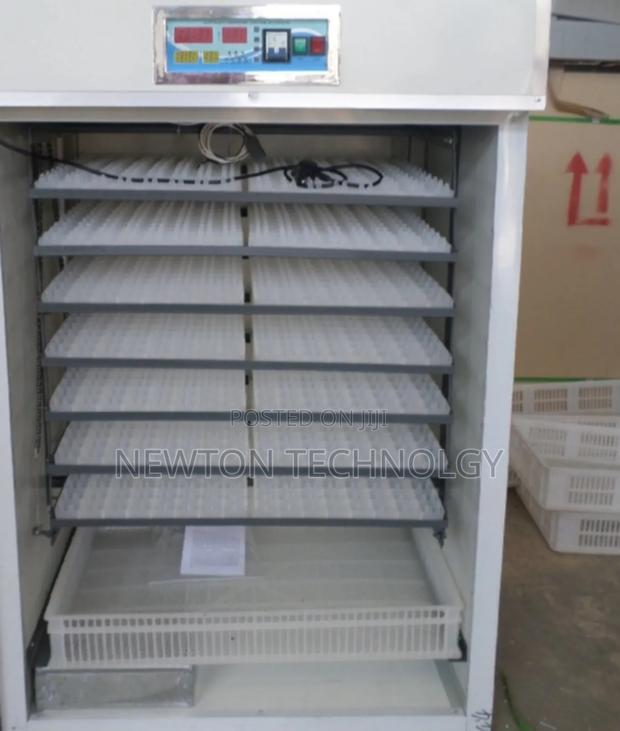 Egg Incubator