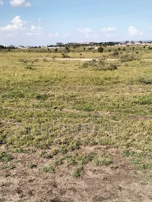Scenic 1/8 Acre in Kitengela Railways Sacco Fenced Ready to Build!