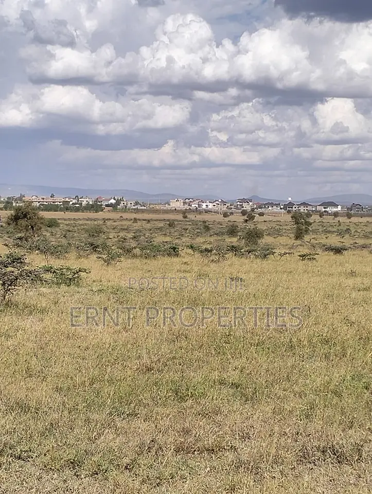Scenic 1/8 Acre in Kitengela Railways Sacco Fenced Ready to Build!