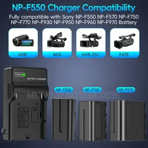 Np-F550 Battery 2-Pack and Wall Charger Sony Led Video Light 2400 Mah