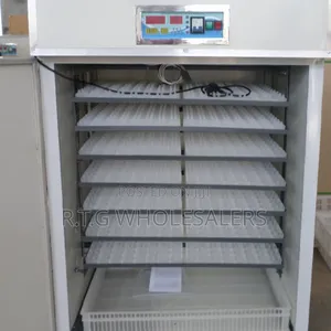 Automatic 64-Egg Incubator With Temperature Control