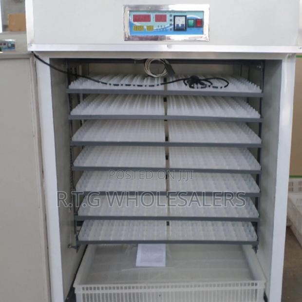 Automatic 64-Egg Incubator With Temperature Control