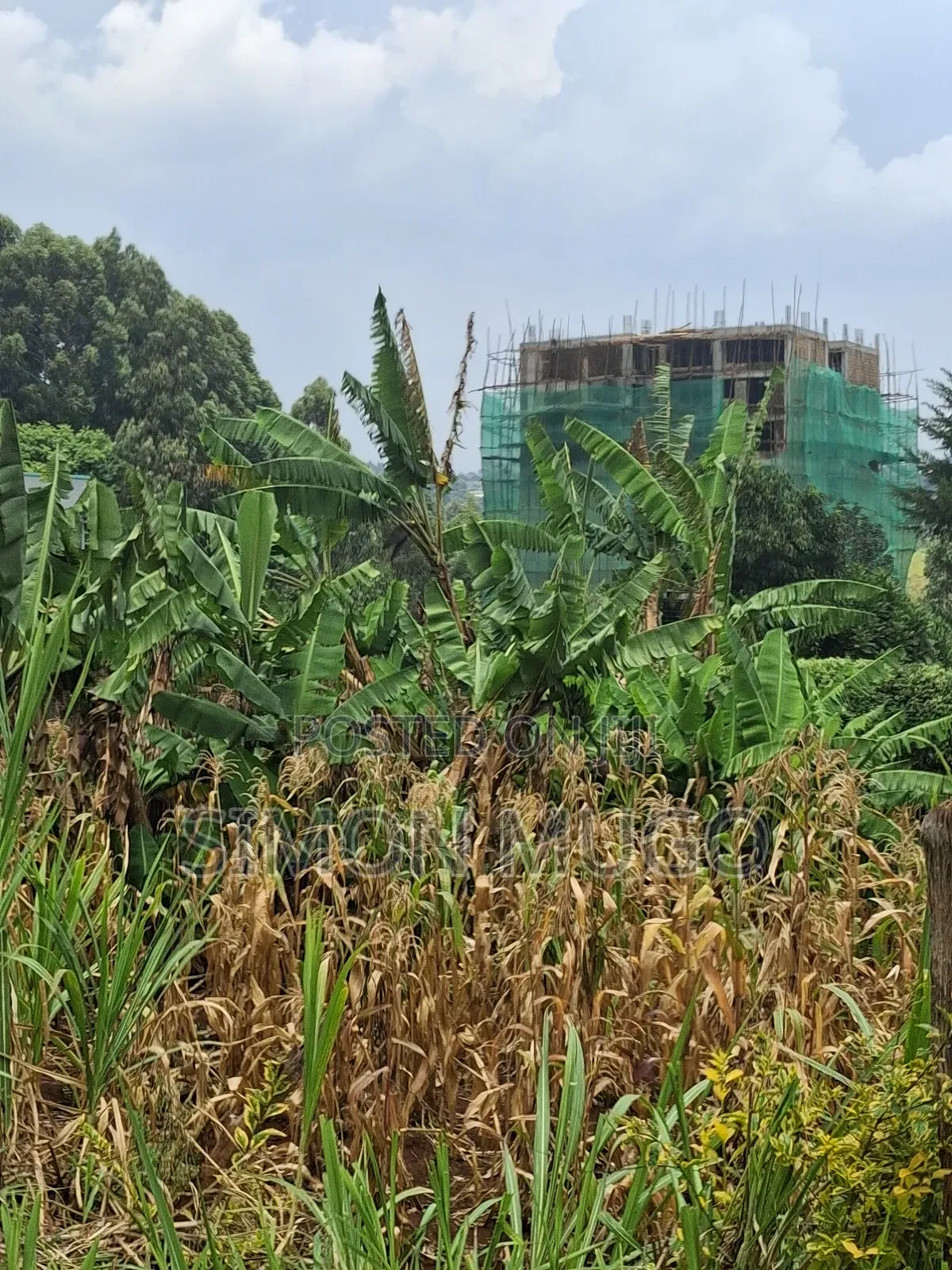 Ruaka Prime Commercial 70x130 With 2 Road Frontage