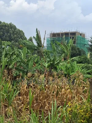 Ruaka Prime Commercial 70x130 With 2 Road Frontage