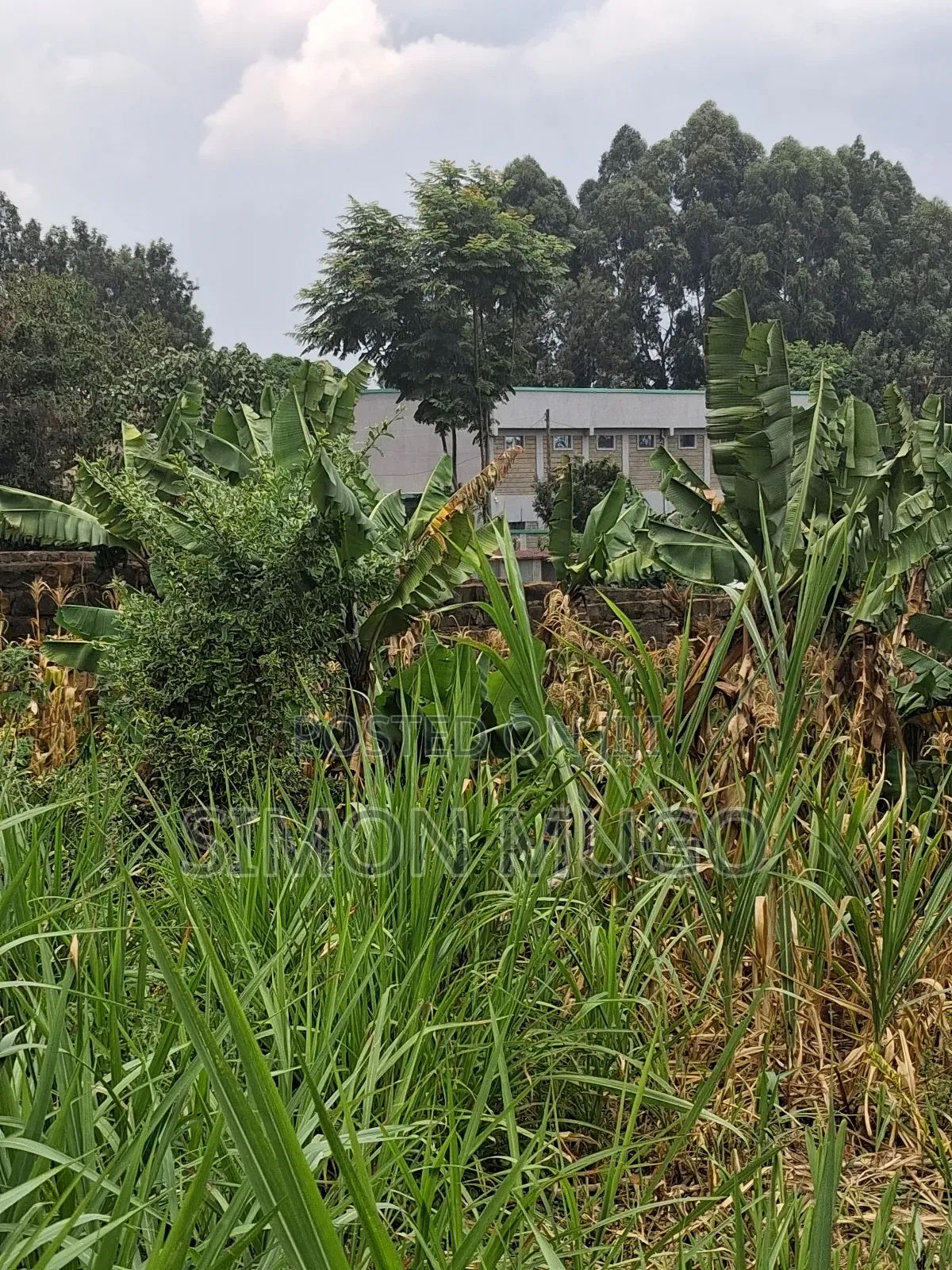 Ruaka Prime Commercial 70x130 With 2 Road Frontage