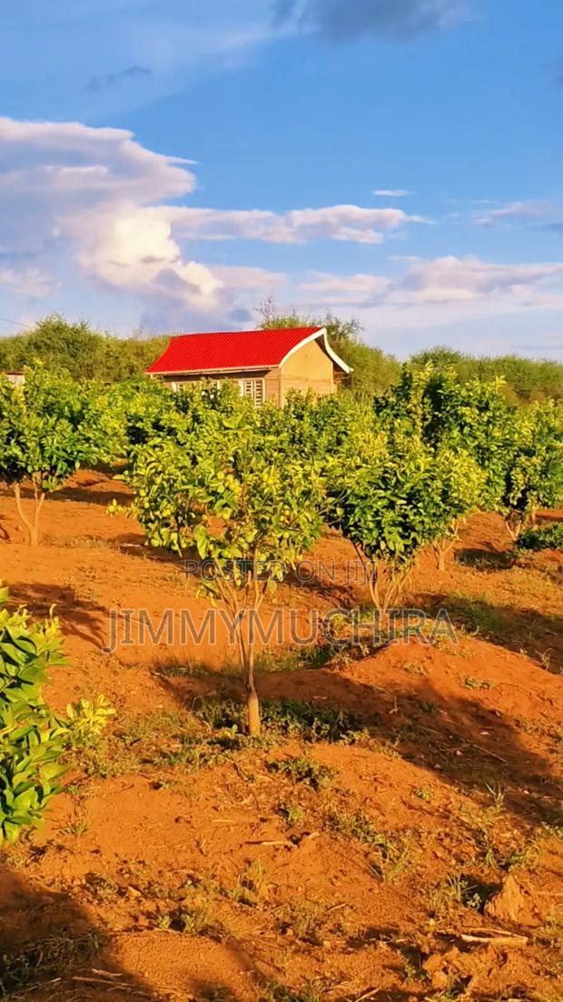 Orange Farm for Sale - thumbnail 3