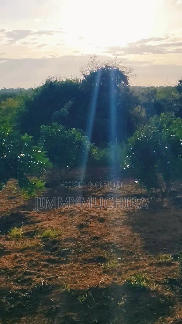 Orange Farm for Sale - thumbnail 5