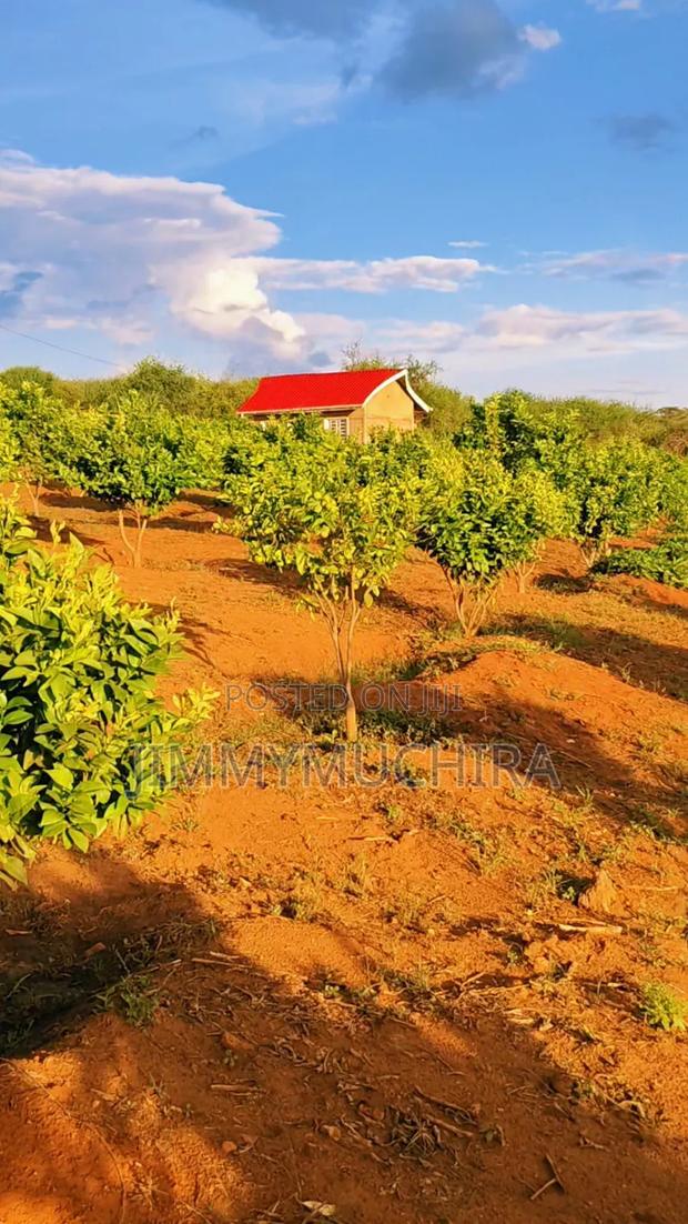 Orange Farm for Sale - thumbnail 8