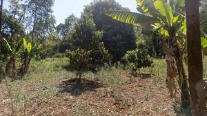 Three Quarter Acre Plot for Sale in Ngong Maragara Road - thumbnail 2