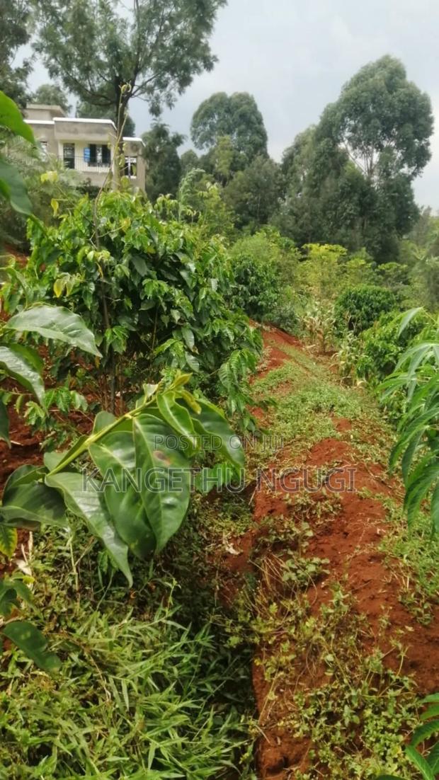 50x100 Karamba-Ini, Kiambu Town