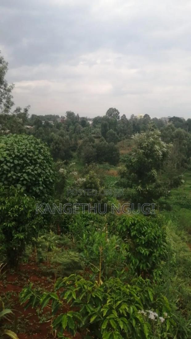 50x100 Karamba-Ini, Kiambu Town - thumbnail 2