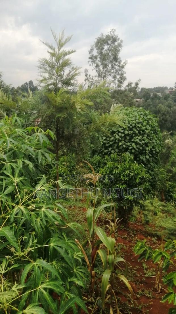 50x100 Karamba-Ini, Kiambu Town - thumbnail 3