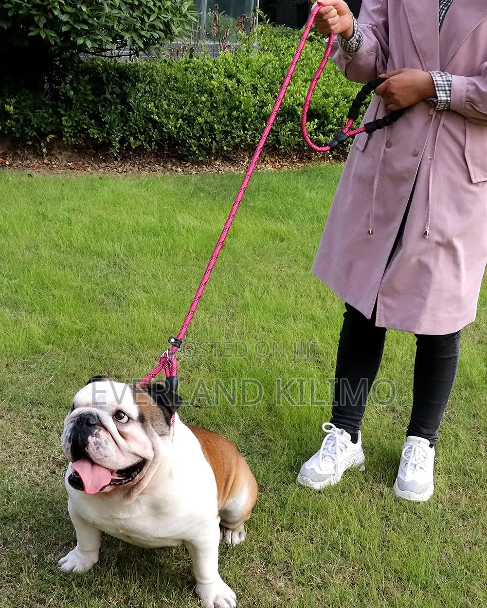 Strong Rope Slip Leash With Padded Handle