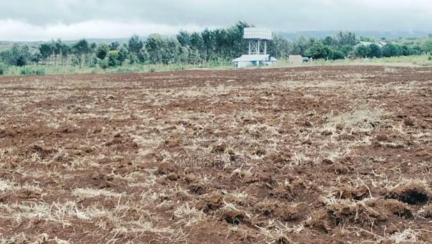8 Acres Prime Land for Sale – Loitoktok | Freehold Title