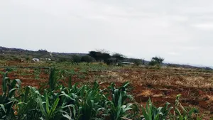 3 Acres Prime Farmland – Loitoktok | 4km From Tarmac | Freehold T