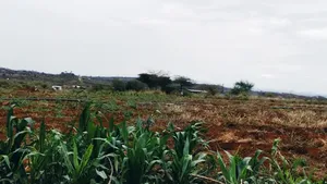 3 Acres Prime Farmland – Loitoktok | 4km From Tarmac | Freehold T
