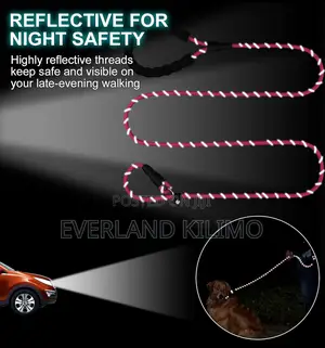 Reflective Slip Dog Leash