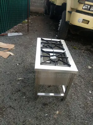2 Burner Lp Gas Cooker Heavy Duty Stainless Steel
