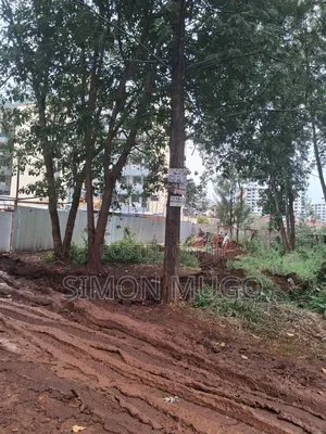 Ruaka Town Prime Commercial 100x100