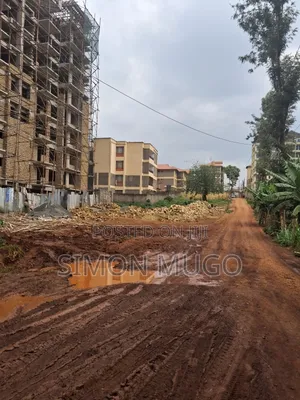 Ruaka Town Prime Commercial 100x100