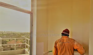 Painter/Fundi Rangi
