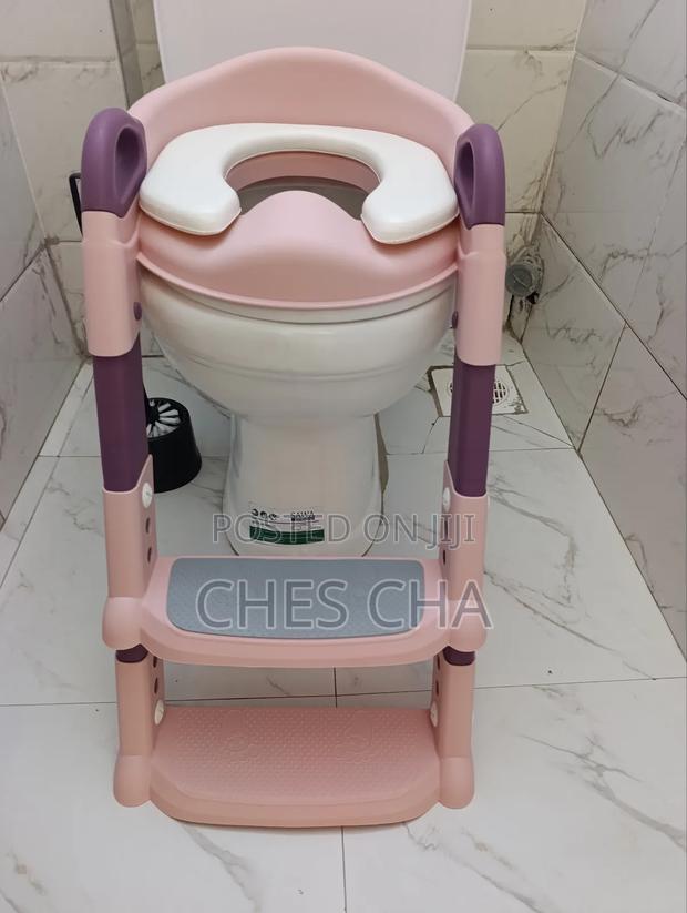 Toilet Ladder - main view