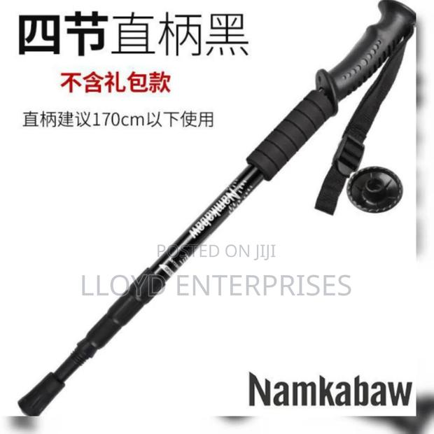 1.7m Trekking Pole - main view