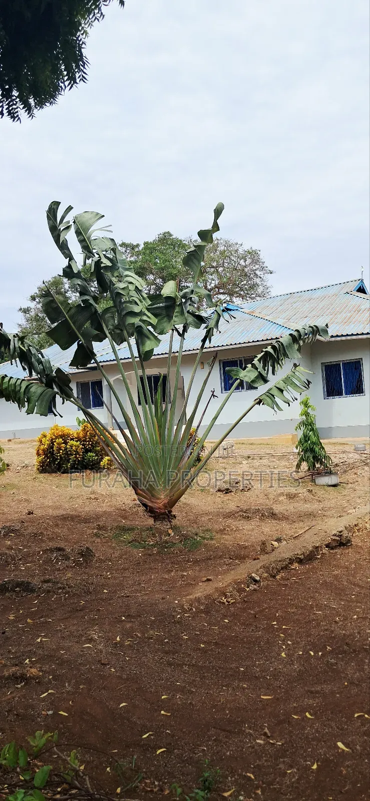 8bdrm House in Kikambala for rent