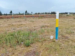 Mercy Njeri Mastoo 50 by 100 Plot for Sale