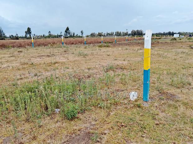 Mercy Njeri Mastoo 50 by 100 Plot for Sale