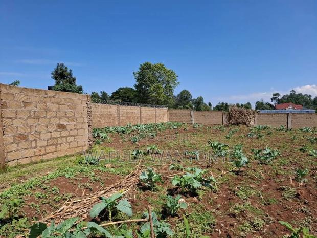 100by100 Namuyemba Kanduyi - thumbnail 2