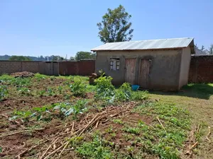 100by100 Namuyemba Kanduyi