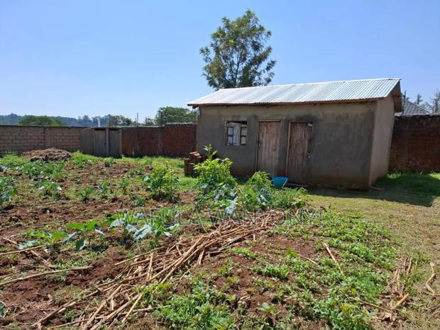 100by100 Namuyemba Kanduyi - thumbnail 3