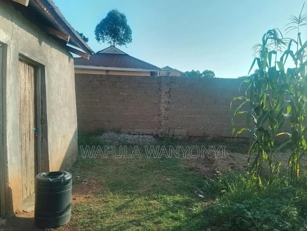 100by100 Namuyemba Kanduyi - thumbnail 8