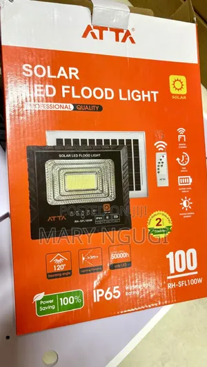 100w Solar Floodlight