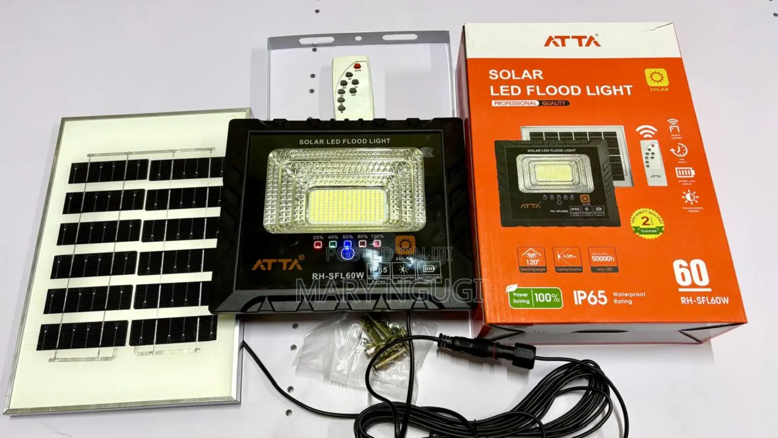 100w Solar Floodlight