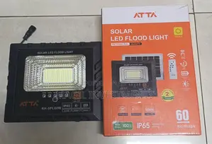 100w Solar Floodlight