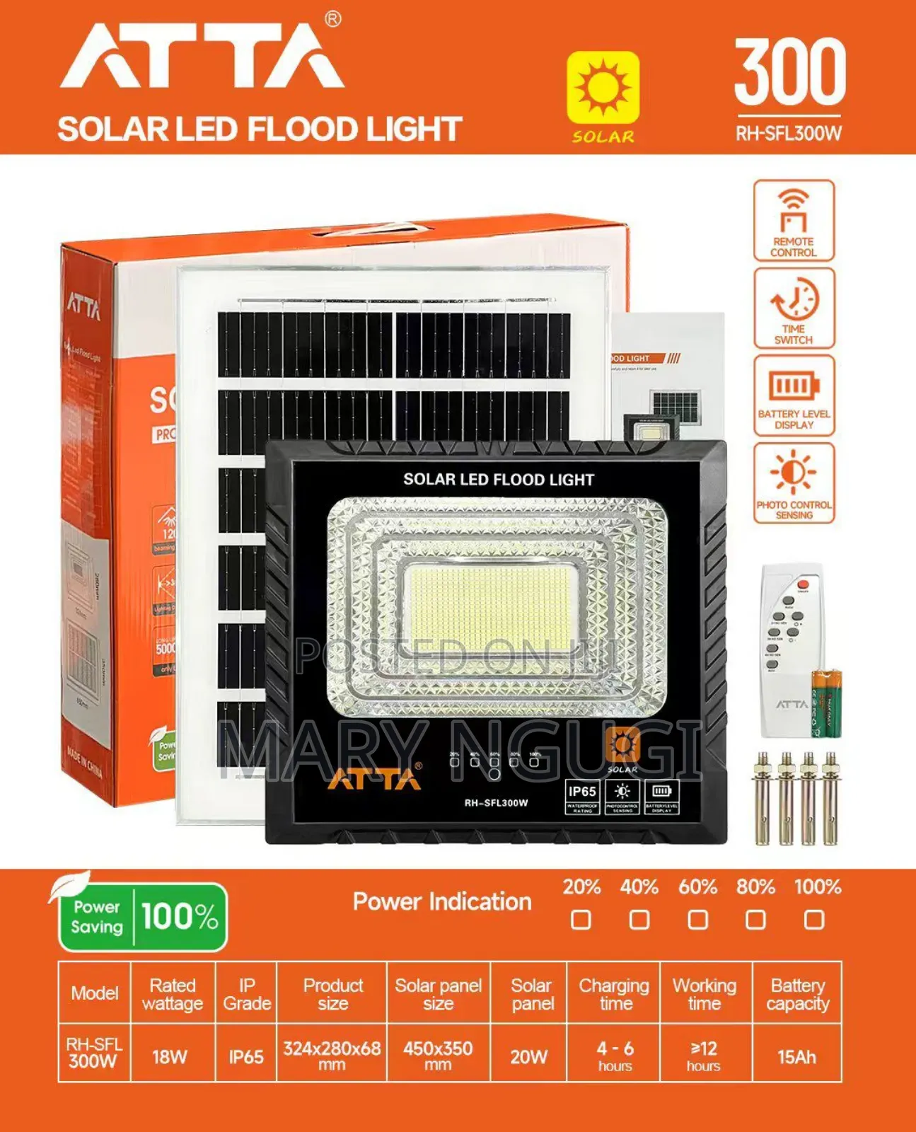 100w Solar Floodlight