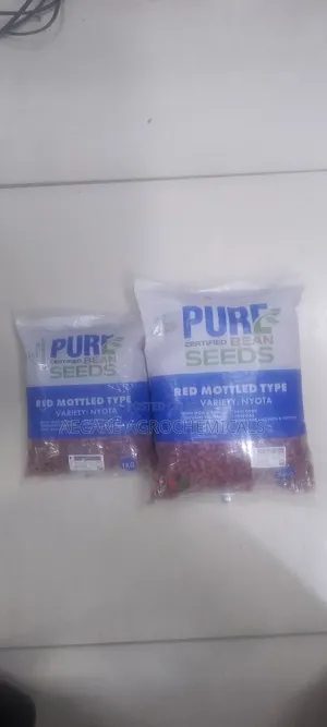Nyota Beans Seeds 1kg, 2kg , Pure Certified Bean Seeds