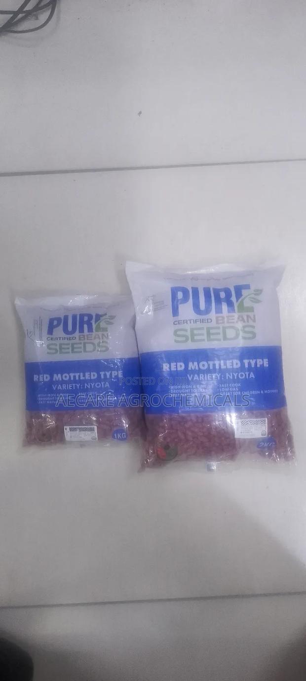 Nyota Beans Seeds 1kg, 2kg , Pure Certified Bean Seeds - thumbnail 3