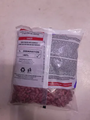 Nyota Beans Seeds 1kg, 2kg , Pure Certified Bean Seeds