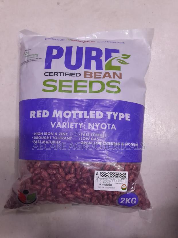 Nyota Beans Seeds 1kg, 2kg , Pure Certified Bean Seeds - thumbnail 6